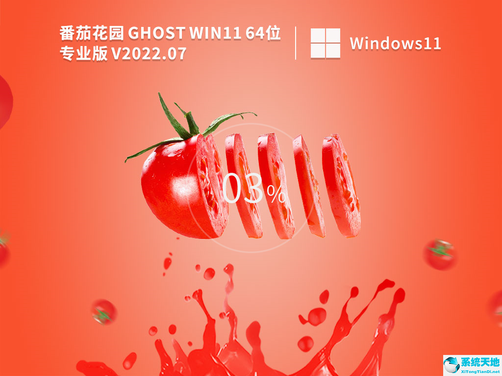 番茄花园 Ghost Win11 64位专业版 V2022.07