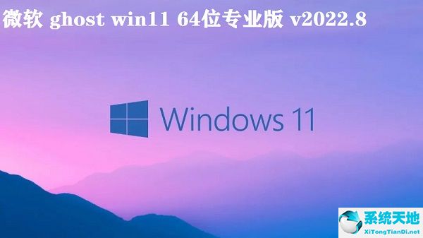 微软 ghost win11 64位专业版 v2022.8