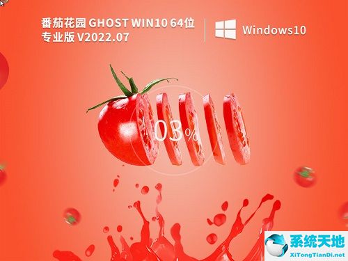 番茄花园 Ghost Win10 64位安全专业版 v2022.07