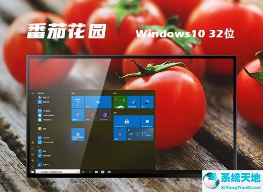 番茄花园 ghost win10 32位官方稳定版 v2022.08