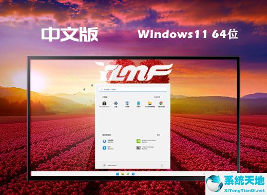 雨林木风 ISO Win11 64位最新中文版 v2022.08